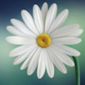 Meet your Posher, Suzanne